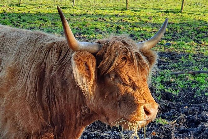 Private Central Highlands Driving Tour - Getting to the Highlands Without the Stress of Driving