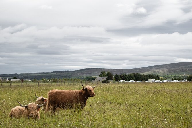 Private Full-Day Tour to the Scottish Highlands and Loch Ness - Dalwhinnie Distillery and Blair Castle: whisky and grandeur without the full-week commitment
