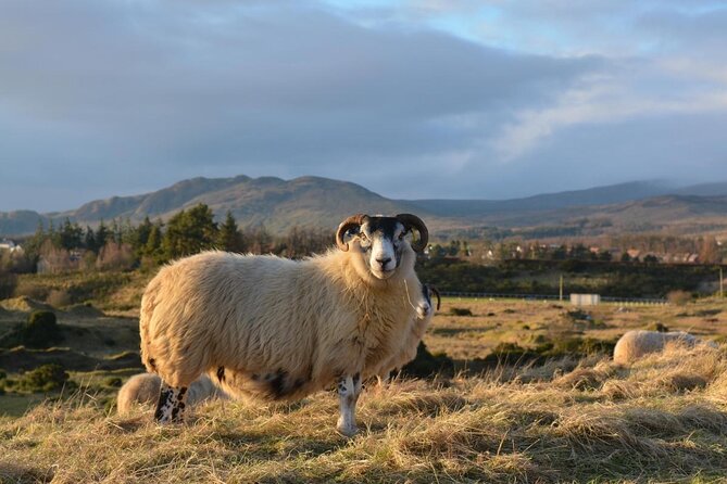 Private Guided Day Tour in Scottish Highlands - Key things to know before you go