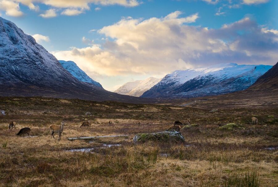 Private Harry Potter Day Tour For Small Groups - How a Private Harry Potter Day Tour Works in the Highlands