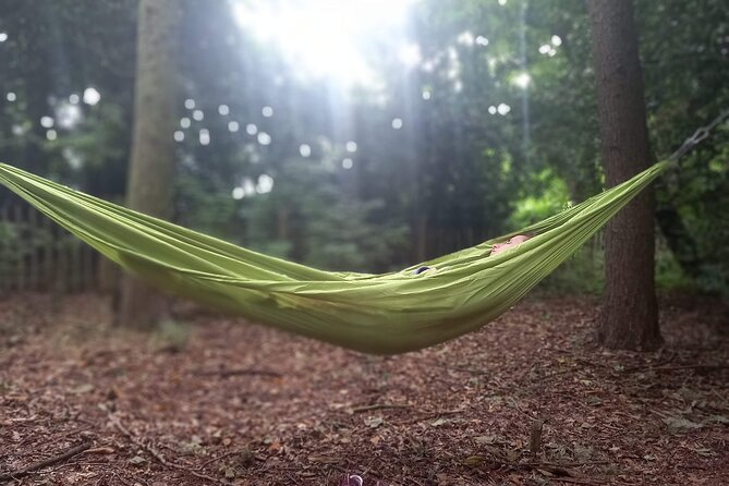 Private Mindfulness and Nature Walk in Edinburgh - What happens in the 90 minutes (and what to expect)
