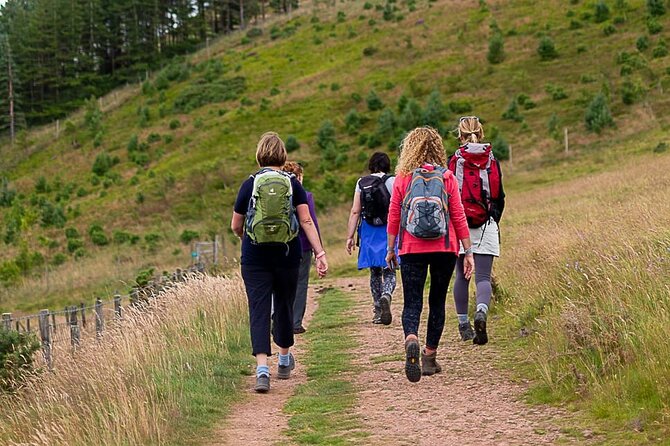 Private Mindfulness and Nature Walk in Edinburgh - Mindfulness tools you can use after the walk