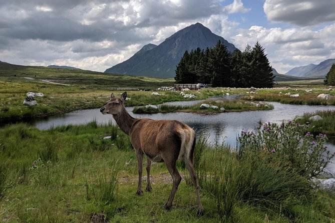 Private One Day Highlands Tour of Scotland - Timing and Pacing: Why the 240 Miles Can Still Feel Good