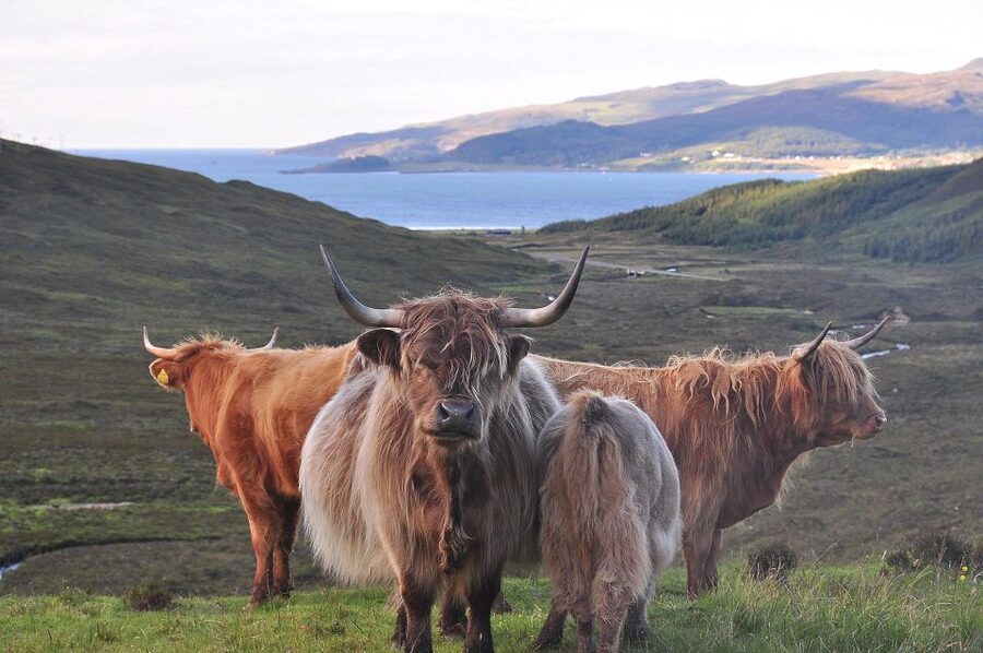 Private Outlander Tour for Small Groups - Private small group setup: pickup in Edinburgh and a full-day flow