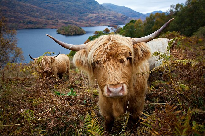 Private Tour of Loch Ness, Glencoe and Highlands from Edinburgh - Crossing the UNESCO Forth Road Bridge and stretching in Pitlochry
