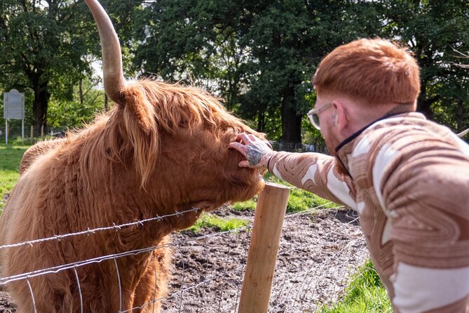 Private Tour of Scottish Highlands, Loch Lomond and castles - Callander: the small-town breather and the bakery stop that steals the show