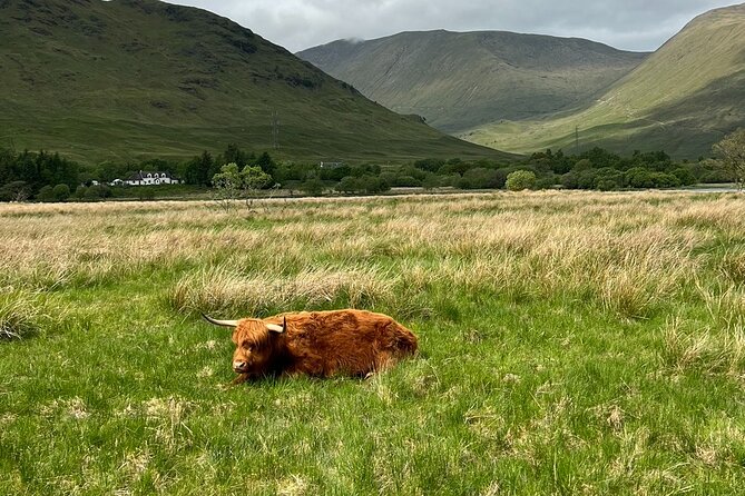 Private Tour to the Stunning Scottish Highlands & Glencoe - Stop 5: Glencoe, quick viewpoints plus time for a local pub