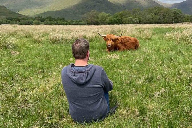 Private Tour to the Stunning Scottish Highlands & Glencoe - Price and value: what you’re paying for with up to 4 people