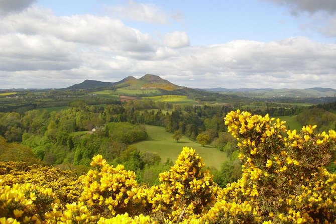 Rosslyn Chapel and Scottish Borders Small-Group Day Tour from Edinburgh - Value for the Price: What You Get for About $47.88