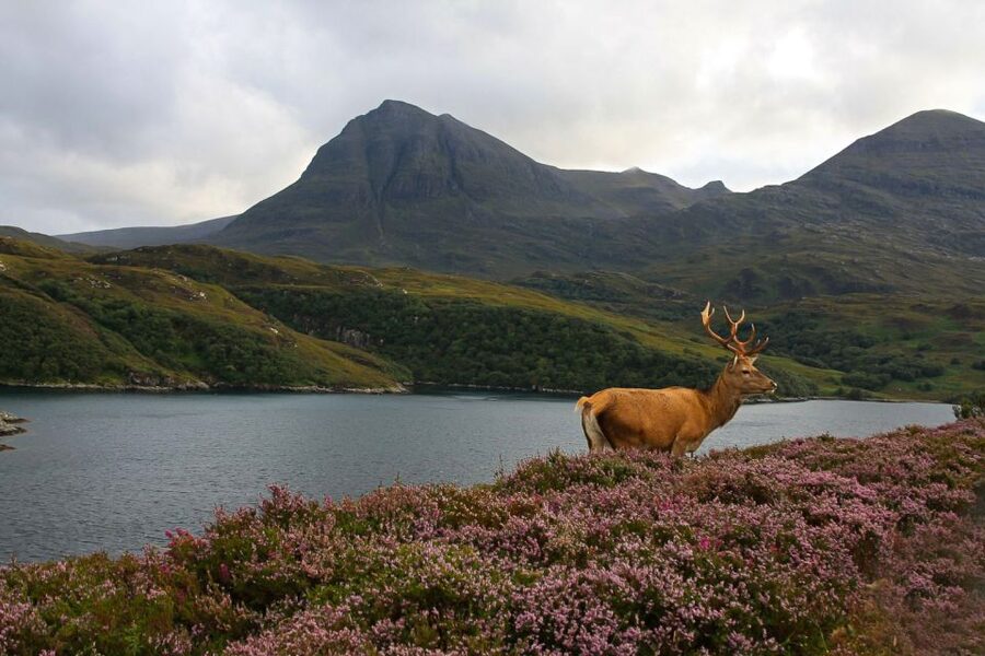 Scotland: Orkney and Northern Coast 5-Day Tour - Key Things That Make This Tour Worth Your Time