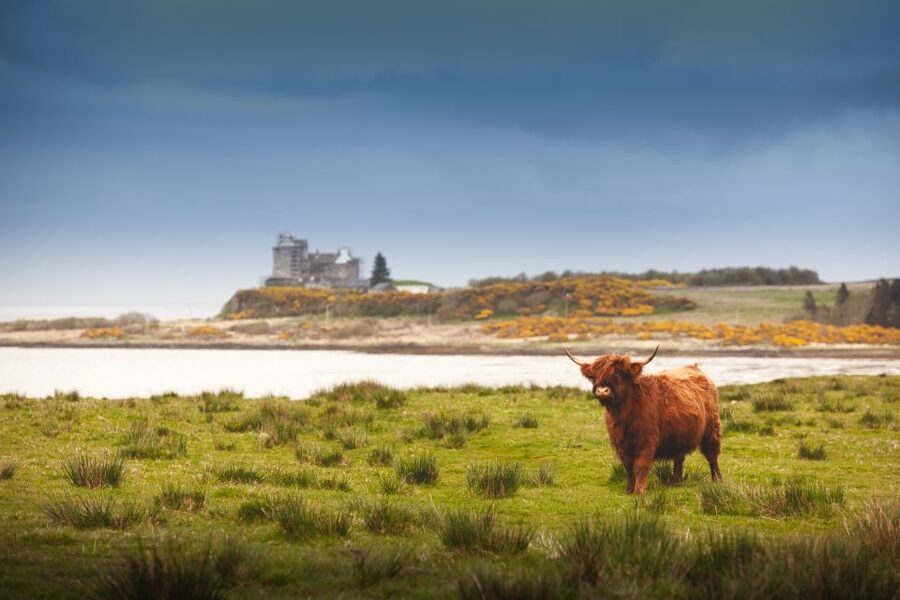 Scotland: West Highlands, Mull and Iona 4-Day Tour - Day 1: Edinburgh to Callander, the Trossachs, and Rannoch Moor