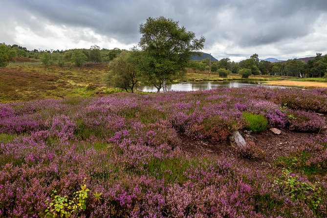 Scottish Highland Games Day Trip from Edinburgh - When Weather Hits: The Most Important Thing to Pack