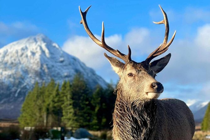 Scottish Highlands, Loch Ness and Glencoe Day Trip from Edinburgh - Price and Value: What $74.89 Buys, and What You Still Need to Pay