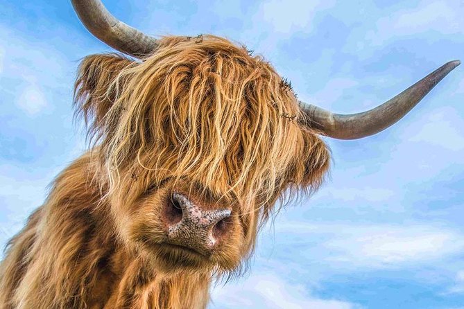 Stirling Castle Loch Lomond and Trossachs National Park day tour - Quick Hits
