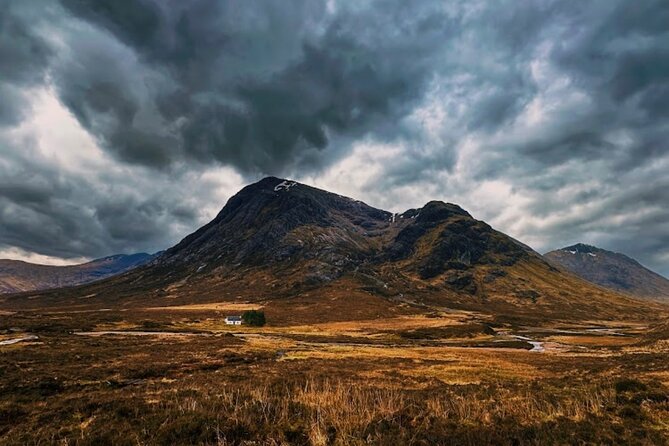 Ultimate Day tour Edinburgh: Glencoe, Highland Cows, Loch Lomond - Kilmahog Highland cows: feeding and petting time that breaks up the drive